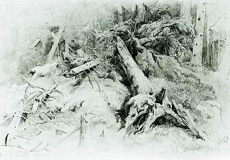风倒下的树木 Wind Fallen Trees (1867)，伊万·希什金