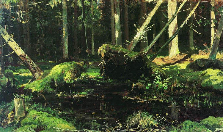 风倒下的树木 Wind Fallen Trees (1886 - 1887)，伊万·希什金