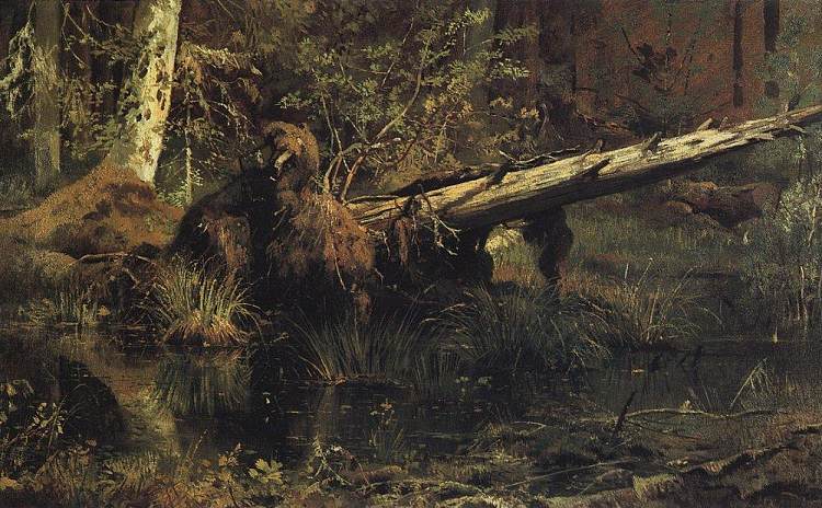 伍德（纳尔瓦附近的什梅茨克） Wood (Shmetsk near Narva) (1888)，伊万·希什金