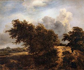 哈勒姆附近的沙丘景观 Dune Landscape near Haarlem (c.1649)，雅各布布·凡·雷斯达尔