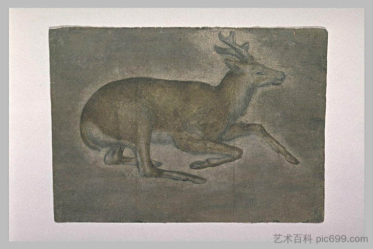 小鹿素描 Sketch of young deer，雅各布布·贝利尼