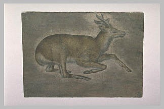 小鹿素描 Sketch of young deer，雅各布布·贝利尼