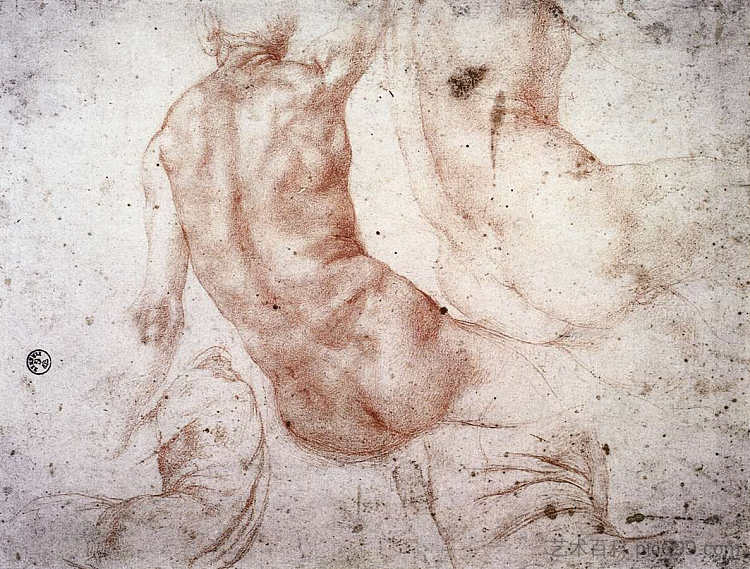 坐着的裸体与举起的手臂 Seated Nude with Raised Arm，雅各布布·达·蓬托尔莫