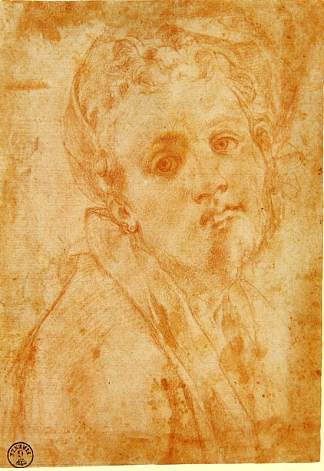 自画像 Self Portrait (c.1527; Italy                     )，雅各布布·达·蓬托尔莫