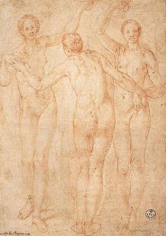 三恩典 The Three Graces (c.1535; Italy                     )，雅各布布·达·蓬托尔莫