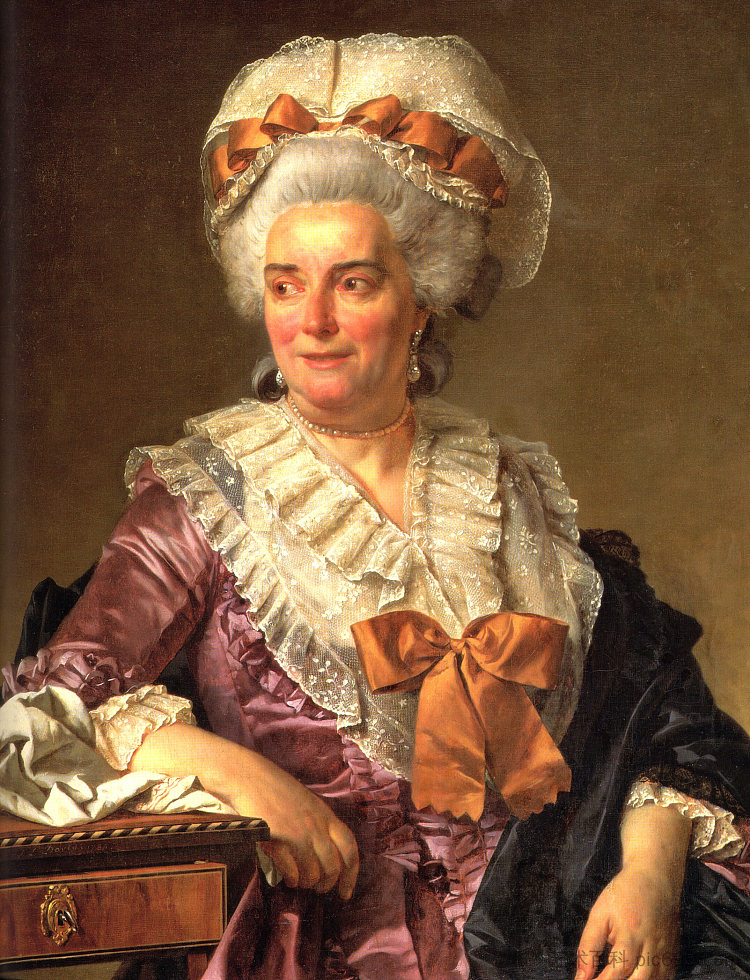 查尔斯-皮埃尔·佩库尔夫人的肖像,nee Potain,艺术家的岳母 Portrait of Madame Charles-Pierre Pecoul, nee Potain, mother-in-law of the artist (1784),雅克·路易·大卫