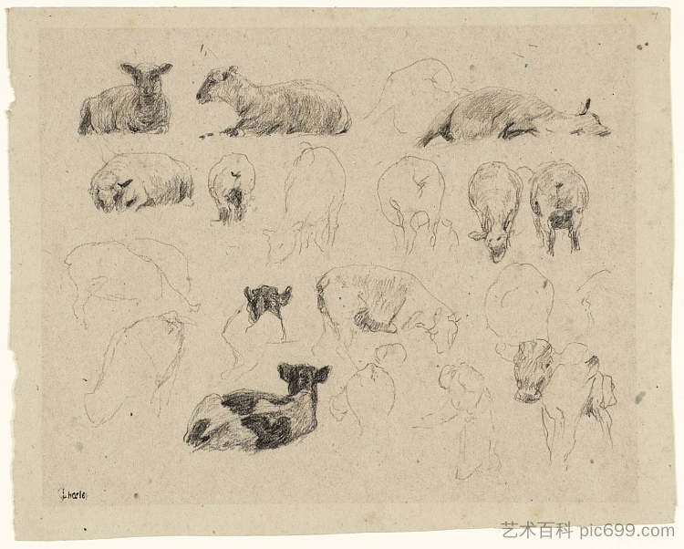 绵羊研究 Studies of Sheep (1863)，查尔斯·詹姆斯