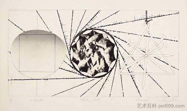 太阳镜 - 着陆网 - 三角形 Sunglasses - Landing Net - Triangle (1974)，詹姆斯·罗斯基思特