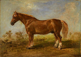 萨福克车马 A Suffolk Carthorse，詹姆斯·沃德