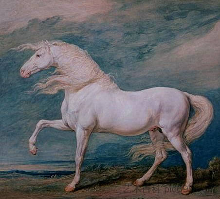 阿多尼斯，一匹白色种马 Adonis, a White Stallion，詹姆斯·沃德