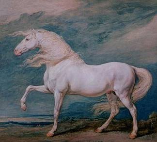 阿多尼斯，一匹白色种马 Adonis, a White Stallion，詹姆斯·沃德