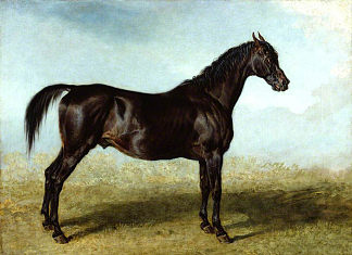 “盖伊曼纳宁”，一匹赛马 ‘Guy Mannering’, A Race Horse (1822)，詹姆斯·沃德