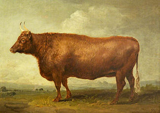 母牛 Heifer，詹姆斯·沃德