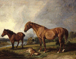黑荆棘的肖像，一匹母马，与老杰克，一匹最喜欢的小马，E.蒙迪的财产，Esq。 Portraits of Blackthorn, a Broodmare, with Old Jack, a Favourite Pony, the Property of E. Mundy, Esq. (1812)，詹姆斯·沃德