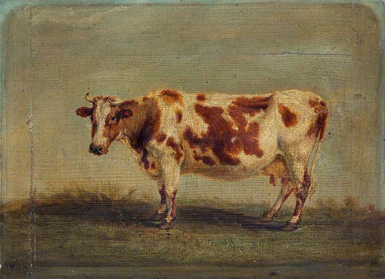 罗恩短角牛 Roan Shorthorn Cow，詹姆斯·沃德
