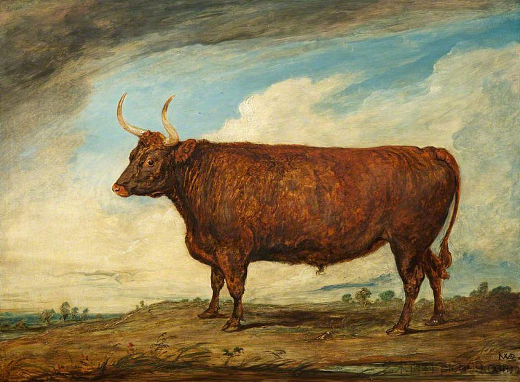 德文郡牛 The Devonshire Ox (1801)，詹姆斯·沃德