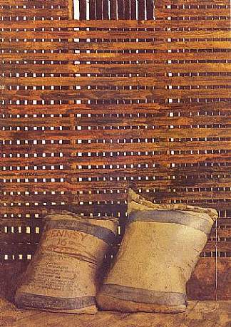 玉米床 Corn Crib (1964)，杰米·韦思