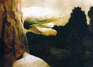 巨型树妖 Giant Dryads (c.1979; United States                     )，杰米·韦思
