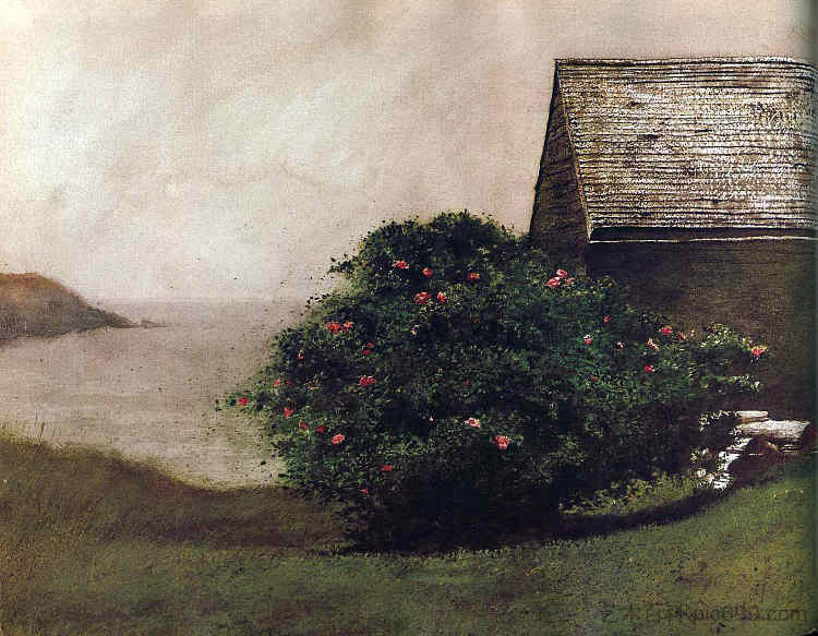 岛玫瑰 Island Roses，杰米·韦思