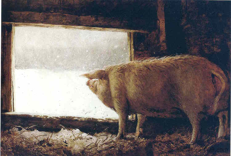 冬猪 Winter Pig (1975; United States  )，杰米·韦思