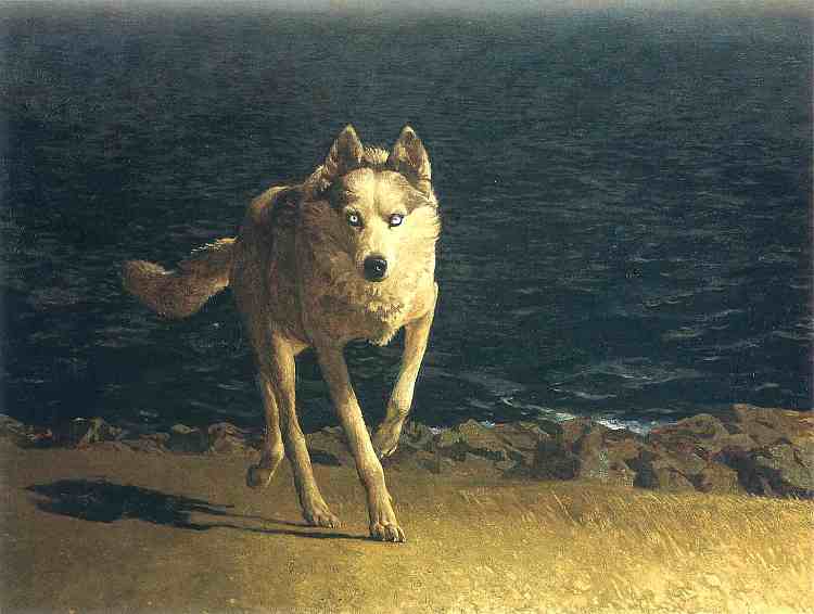 狼狗 Wolf Dog (1976)，杰米·韦思
