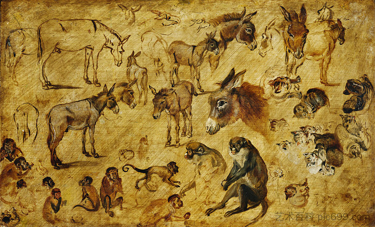 动物（驴、猫和猴）的研究 Studies of animals (donkeys, cats and monkeys) (1616; Belgium  )，老扬·勃鲁盖尔