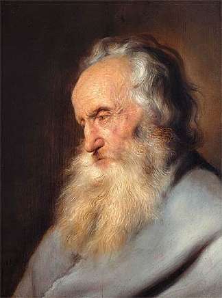 老胡子男人 Old Bearded Man (c.1633; Netherlands                     )，扬·利文斯