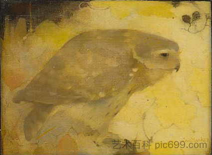 树枝上的猛禽 A bird of prey on a branch (1911)，扬·曼克斯