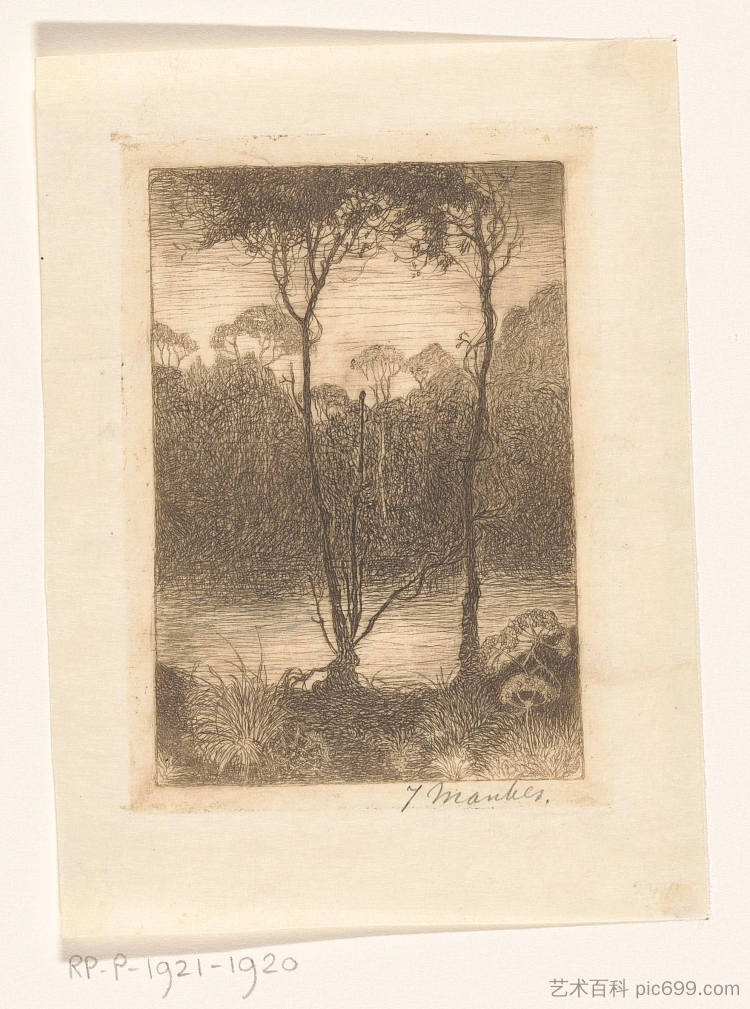 晚上水溪上的两棵树 Two trees on the water stream at night (1916)，扬·曼克斯