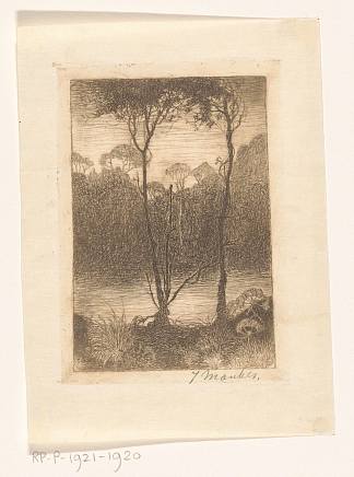 晚上水溪上的两棵树 Two trees on the water stream at night (1916)，扬·曼克斯