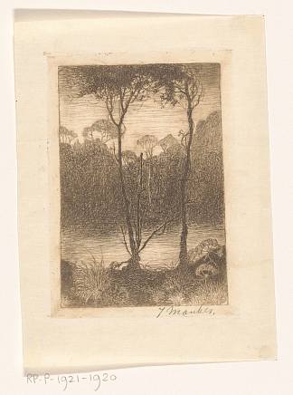 晚上水溪上的两棵树 Two trees on the water stream at night (1916)，扬·曼克斯
