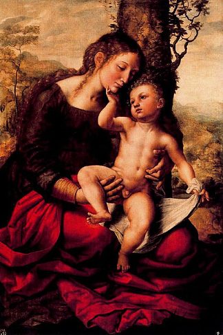处女与圣婴 Virgin and Child (1543)，简·范·海森