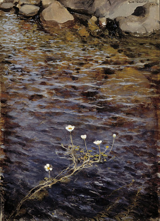 池塘水鱼尾纹 Pond Water Crowfoot，埃罗·耶尔内费尔特