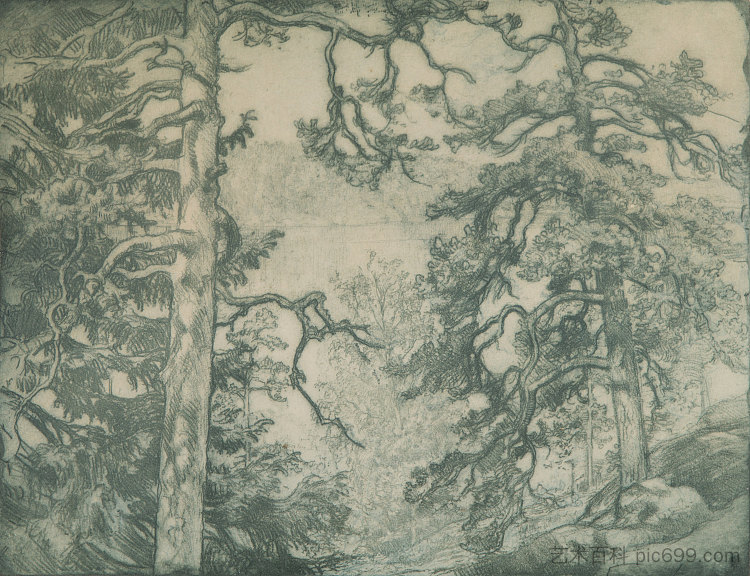 湖景 View of the Lake，埃罗·耶尔内费尔特