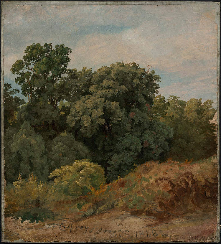 研究一簇树木 Study of a Clump of Trees (1848),贾斯珀·弗朗西斯·克罗普西