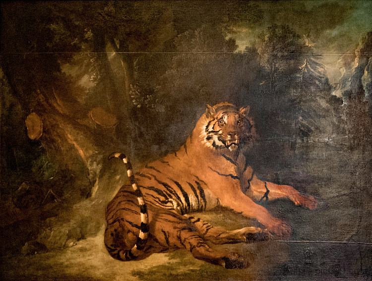 老虎 Tiger (1740; Versailles,France  )，让·巴普蒂斯特·乌德里