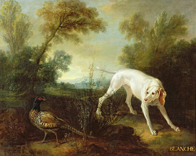 布兰奇，皇家狩猎包的婊子 Blanche, Bitch of the Royal Hunting Pack (1724)，让·巴普蒂斯特·乌德里