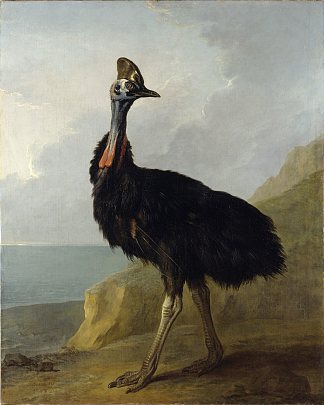 食火鸡 Cassowary (1745; Versailles,France                     )，让·巴普蒂斯特·乌德里