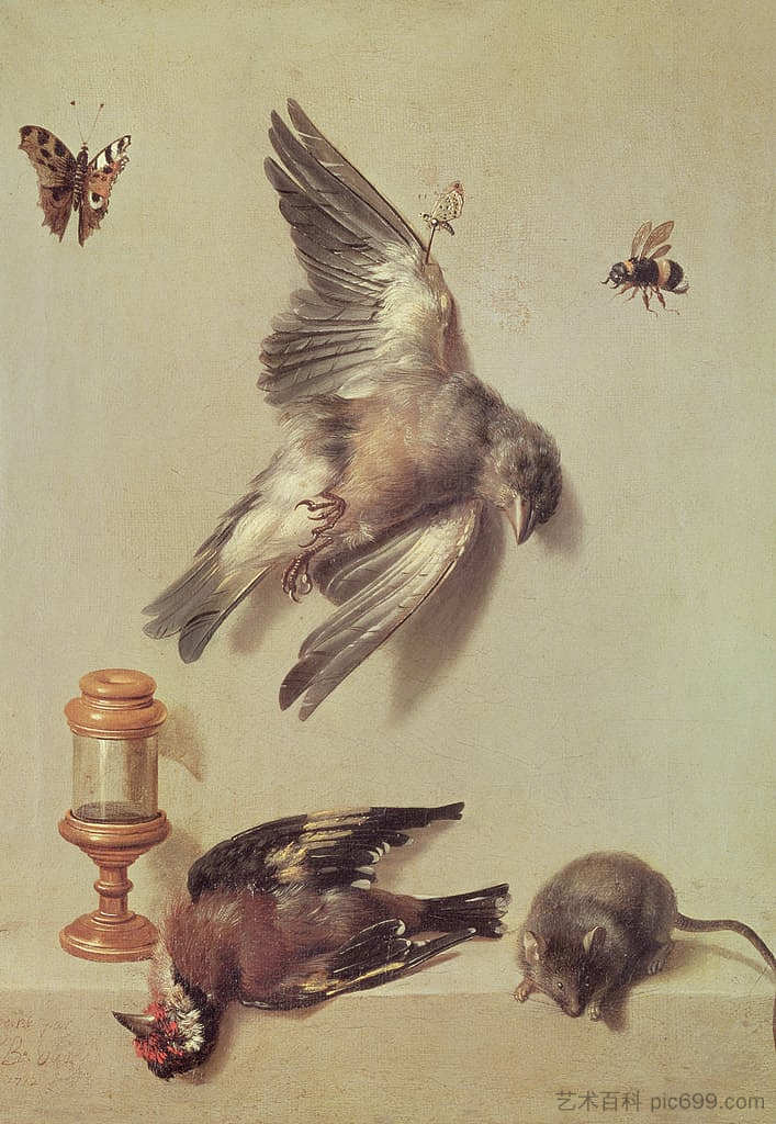 死鸟和老鼠的静物 Still life of dead birds and a mouse (1712)，让·巴普蒂斯特·乌德里