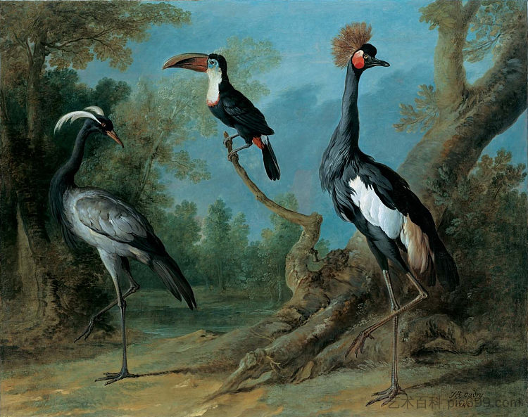 德米塞尔鹤、巨嘴鸟和簇绒鹤 Demoiselle Crane, Toucan, and Tufted Crane (1745; Versailles,France  )，让·巴普蒂斯特·乌德里