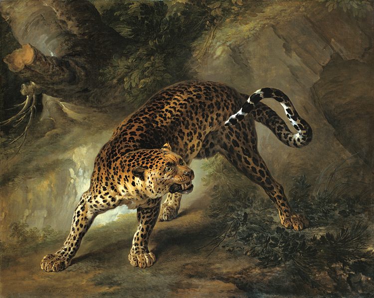 豹 Leopard (1741; Versailles,France  )，让·巴普蒂斯特·乌德里