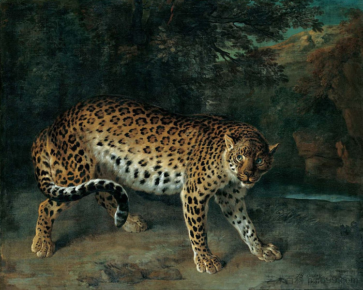 豹女 Leopardess (1741; France ),让·巴普蒂斯特·乌德里