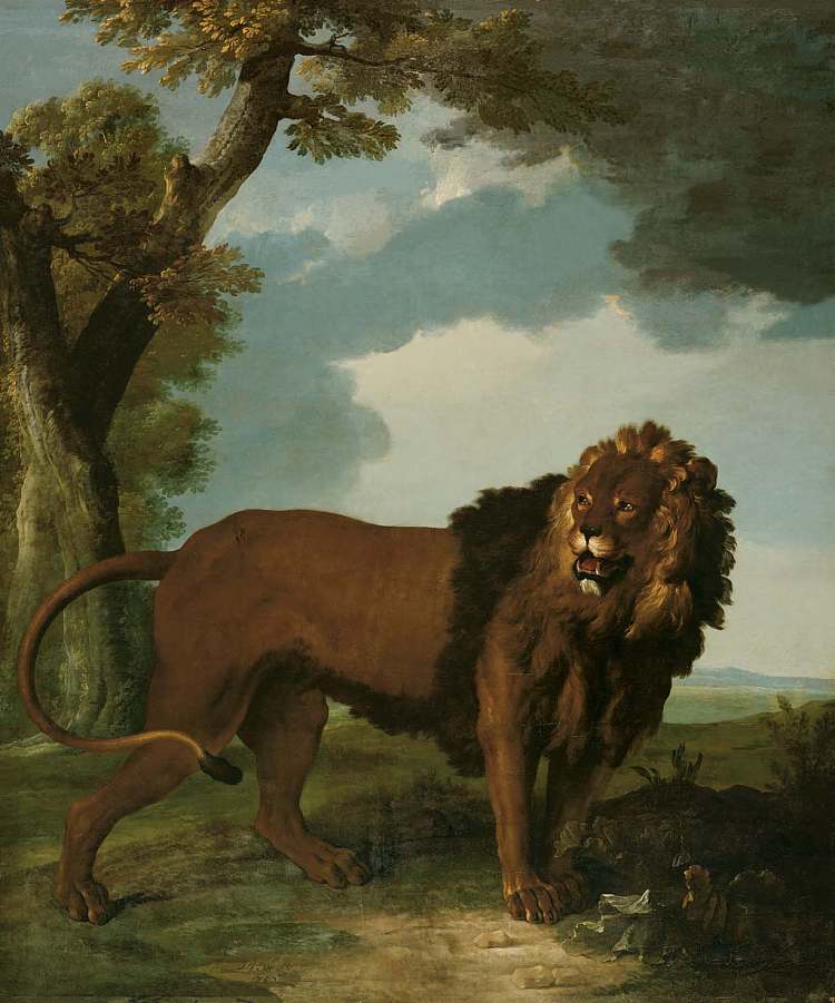 狮子 Lion (1752; Versailles,France  )，让·巴普蒂斯特·乌德里