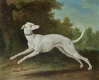 白灰狗 White Greyhound，让·巴普蒂斯特·乌德里