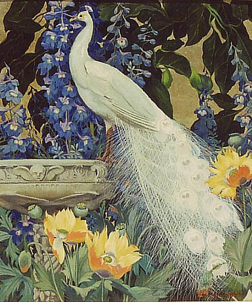 白孔雀和罂粟花 White Peacock and Poppies,杰西·阿姆斯·博克