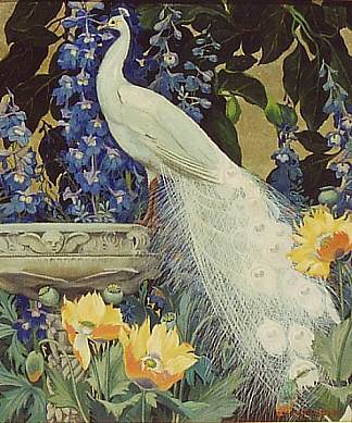 白孔雀和罂粟花 White Peacock and Poppies，杰西·阿姆斯·博克