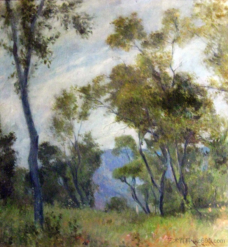 树木景观 Landscape With Trees，琼·布鲁尔