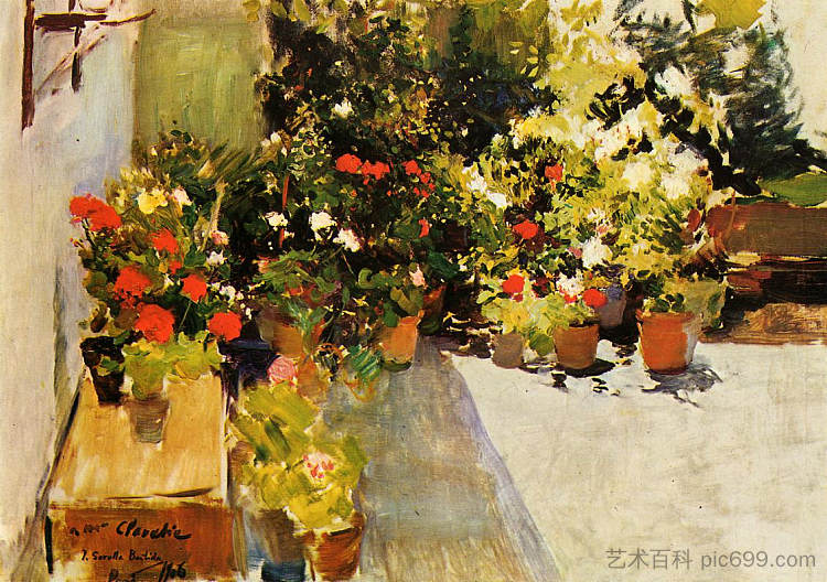 鲜花盛开的屋顶 A Rooftop with Flowers (1906; Spain  )，华金·索罗拉