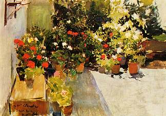 鲜花盛开的屋顶 A Rooftop with Flowers (1906; Spain                     )，华金·索罗拉