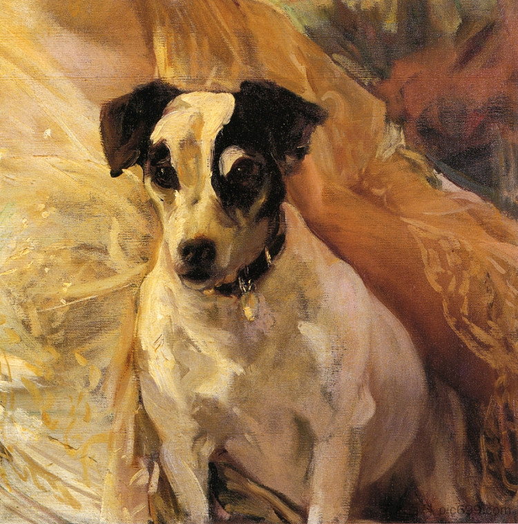 杰克·罗素的肖像 Portrait of a Jack Russell (1909; Spain  )，华金·索罗拉